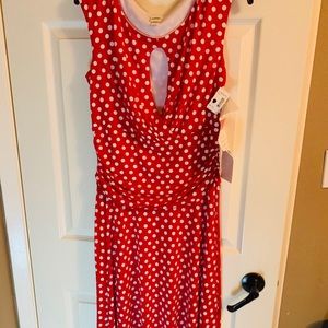 NEW with TAGS! Polka Dot Dress ❤️🤍